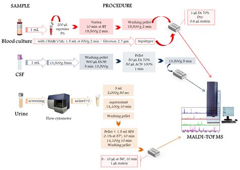 ldims|maldi ms analysis.